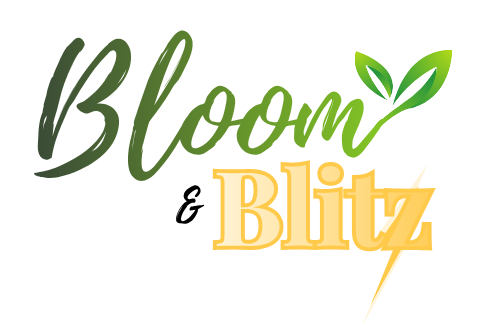 Bloom & Blitz Creative Studio